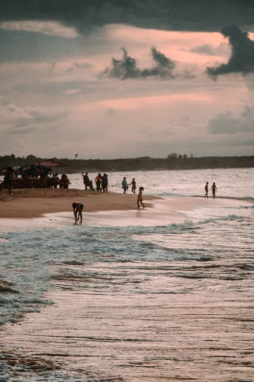 Arugam Bay