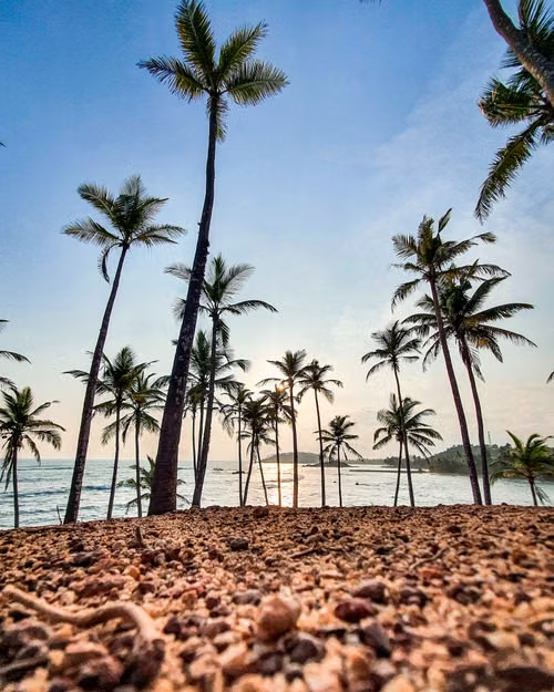 Mirissa